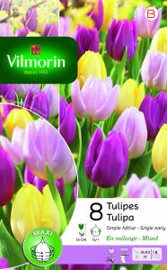 Tulipe Simple Hâtive en Mélange (x8)